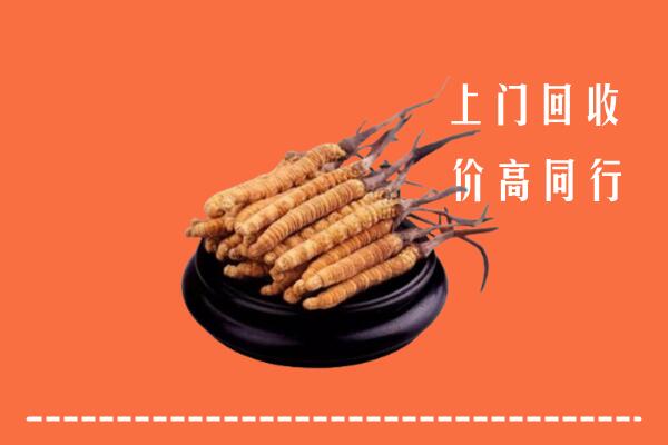 高价求购：甘孜州康定回收散虫草