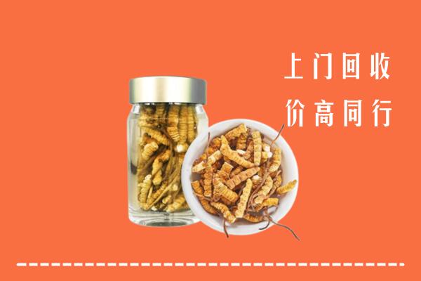 甘孜州康定回收冬虫夏草